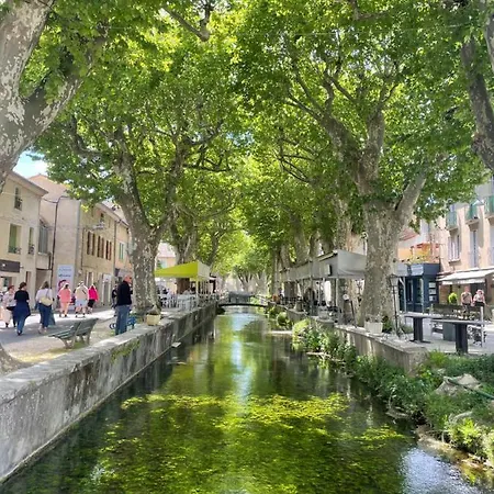 Passiflore Frigoulet