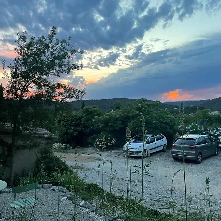 Passiflore Frigoulet