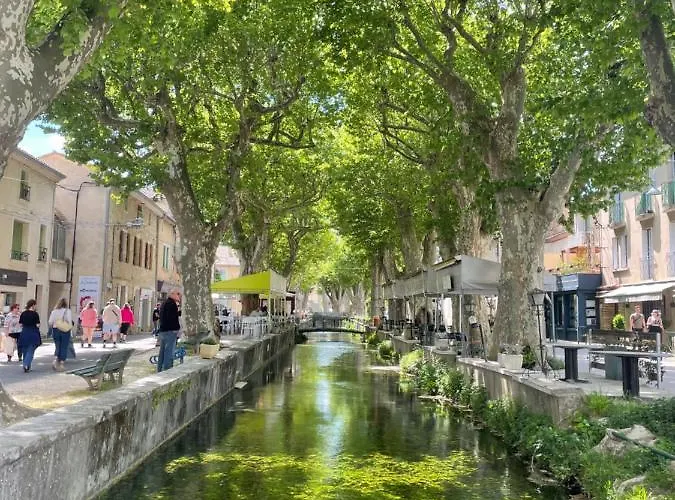 Passiflore Frigoulet