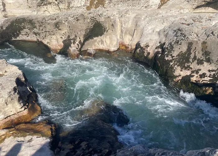 Passiflore Frigoulet