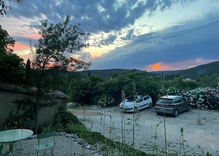 Passiflore Frigoulet